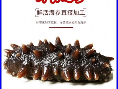 【工厂批发现货】大连海参 辽参 货源充足 电商专供 即食辽参50 0g图1