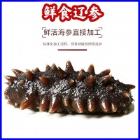 【工厂批发现货】大连海参 辽参 货源充足 电商专供 即食辽参50 0g