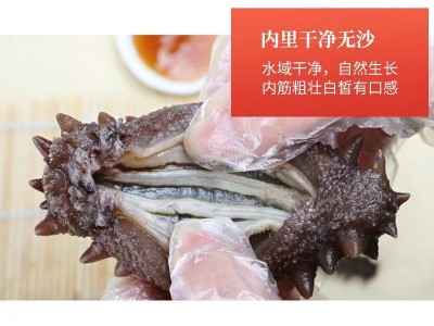 【工厂批发现货】大连海参 辽参 货源充足 电商专供 即食辽参50 0g图4