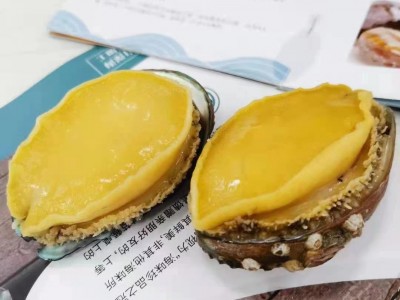 【工厂现货批发】大连鲜食鲍鱼 可除膜 黄金鲍 货源充足电商专供图5