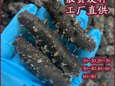 福建中大火拉缸盐海参佛跳墙帝王蟹鲜蒸即食零食礼盒图1