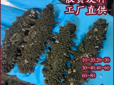 福建中大火拉缸盐海参佛跳墙帝王蟹鲜蒸即食零食礼盒图4