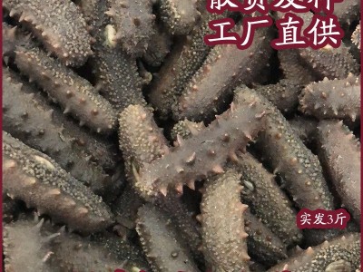 福建拉缸盐海参鱿鱼小龙虾烟台特产鲜食辽参批发食品礼盒图3