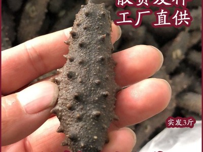 福建拉缸盐海参鱿鱼小龙虾烟台特产鲜食辽参批发食品礼盒图4