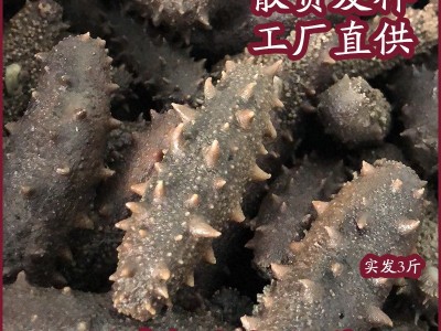福建拉缸盐海参鱿鱼小龙虾烟台特产鲜食辽参批发食品礼盒图2
