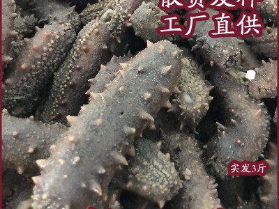 福建拉缸盐海参鱿鱼小龙虾烟台特产鲜食辽参批发食品礼盒图5