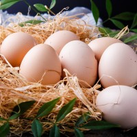 农村鲜鸡蛋土鸡蛋枚山林散养土鸡蛋 新鲜营养土鸡蛋草鸡蛋整箱