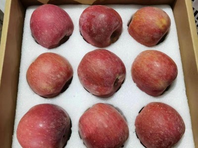 新疆阿克苏苹果当季新鲜果王果园现摘直发多汁苹果礼盒装顺丰包邮图1