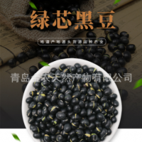 厂家直供黑皮绿仁烘炒黑豆-量大质优，出口品质