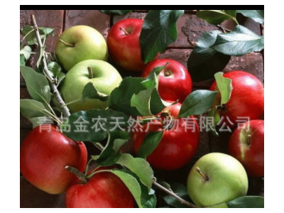 供应烘干苹果渣饲料粉图3