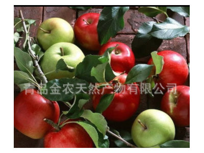 供应烘干苹果渣饲料粉图1