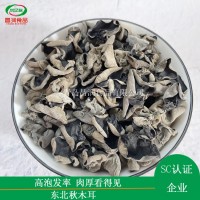 东北特产食用菌黑木耳批发零售秋木耳干货食用菌肉厚无根500g