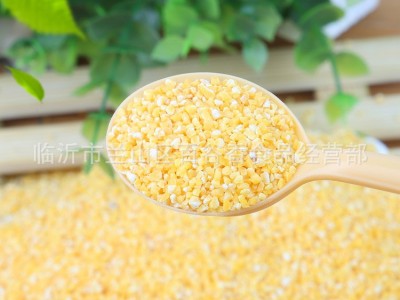 厂家批发低温烘焙熟玉米渣玉米碴供应五谷杂粮磨粉现磨豆浆 5件起批图4
