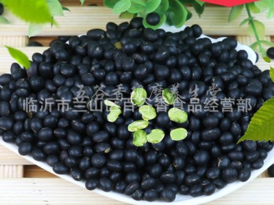 熟绿心黑豆低温烘焙熟五谷杂粮现磨粉原料厂家批发 5件起批图4