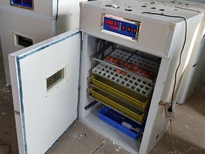 全自动小型孵化机一机多用大雁可孵化火鸡火鸟柯尔鸭蛋智能孵蛋机图5