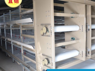 养鸡设备厂家肉鸡笼 自动化养殖设备肉鸡笼 养鸡设备肉鸡笼图3