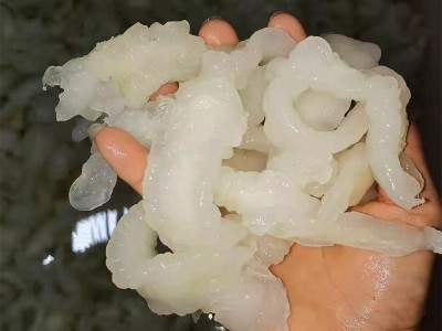 厂家直销小龙胶冷冻水产花胶 尖尾花胶胶鱼肚鱼胶 餐饮批发500g图1