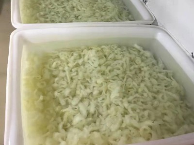 厂家直销小龙胶冷冻水产花胶 尖尾花胶胶鱼肚鱼胶 餐饮批发500g图4