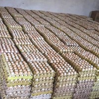 农家土鸡蛋柴鸡蛋笨鸡蛋草鸡蛋批发420枚200件起发货