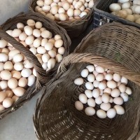 农家土鸡蛋 新鲜柴鸡蛋笨鸡蛋散养月子鸡蛋30枚包邮