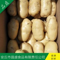 供应出口级保鲜土豆（价格面议）