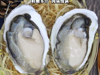 冷冻半壳生蚝 新鲜肥美牡蛎生蚝 烧烤酒店排档食材 鲜活生蚝批发图2