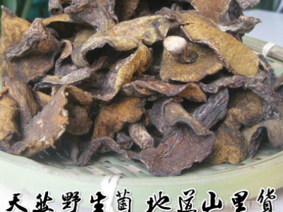 厂家直销 新货散称【九玮野生松菇1斤】野生松菇蛾子蘑菇炖图5