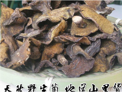 厂家直销 新货散称【九玮野生松菇1斤】野生松菇蛾子蘑菇炖图2