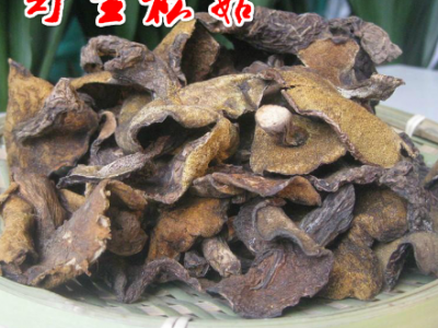 厂家直销 新货散称【九玮野生松菇1斤】野生松菇蛾子蘑菇炖图1