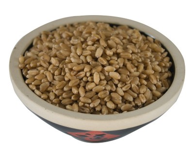 产地货源批发当季新小麦 酿酒饲料原料 袋装50kg脱皮小麦粒图5
