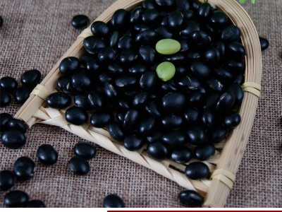 产地货源批发绿芯青仁大黑豆 豆浆原料五谷杂粮袋装25kg大粒黑豆图1