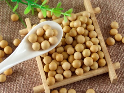大量批发当季新黄豆 豆浆食品原料五谷杂粮东北大豆袋装80斤图4