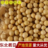 大量批发当季新黄豆 豆浆食品原料五谷杂粮东北大豆袋装80斤