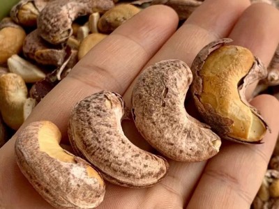 超大越南腰果500g 坚果干果零食批发坚果零食 干果零食批发 坚果图3