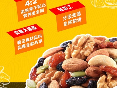 列夫每日坚果混合罐装500g预包装食品小零食干货坚果大量批发厂家 2罐起批图2
