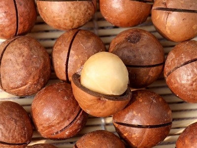 厂家直销夏威夷果罐装澳洲坚果小包奶油休闲零食年货炒货 2罐起批图4