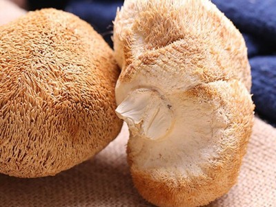 新货古田猴头菇干货散装批发产地发货猴头菇500g食用菌批发图3