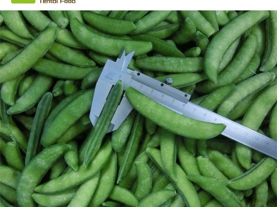 大批量现货厂家直供奇珍76速冻甜豆 冷冻甜豆图2