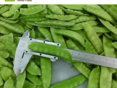 大批量现货厂家直供白花速冻荷兰豆 红花冷冻荷兰豆图1