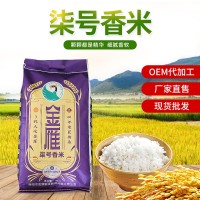 柒号香米10kg 厂家供应金雁大米食品米饭自然清香软糯香米