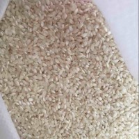 无粘性早稻米 生产米豆腐米线凉皮米粉干 早籼米货源厂家直批