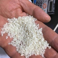 无粘性早稻米 生产米线凉皮米粉干米豆腐 早籼米货源厂家直批