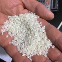 无粘性早稻米 生产河粉米豆腐米线凉皮米粉干 早籼米货源厂家直批