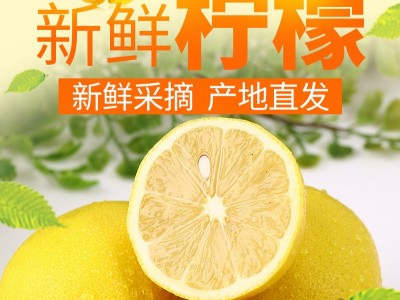 安岳黄柠檬新鲜大果3斤装皮薄多汁口感酸爽原产地直发 分销 代发图1