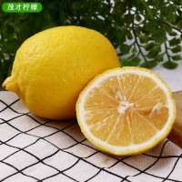 安岳黄柠檬新鲜二级大中小果产地直发5斤起批新鲜多汁口感酸爽