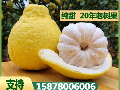 原产地广西柚子容县沙田柚子新鲜水果一件代发基地包邮批发图1