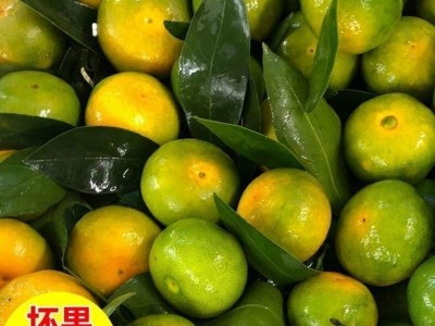 云南蜜橘子新鲜甜蜜橘青皮桔子批发薄皮蜜桔青橘柑橘带箱9-10斤图1