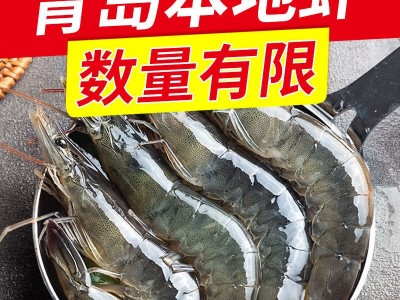 新鲜青岛大虾超大海虾海鲜水产鲜活活虾冷冻虾子基围虾图4