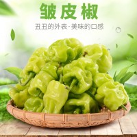 云南特产农家自种皮薄皱皮辣虎皮辣椒青辣椒清脆新鲜蔬菜现摘现发（价格面议）