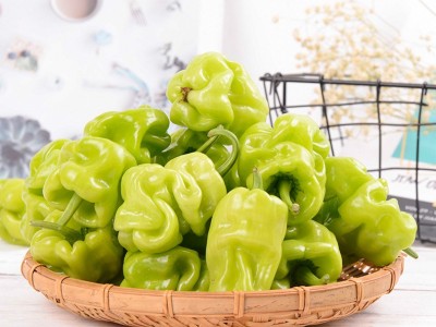 云南特产农家自种皮薄皱皮辣虎皮辣椒青辣椒清脆新鲜蔬菜现摘现发（价格面议）图2